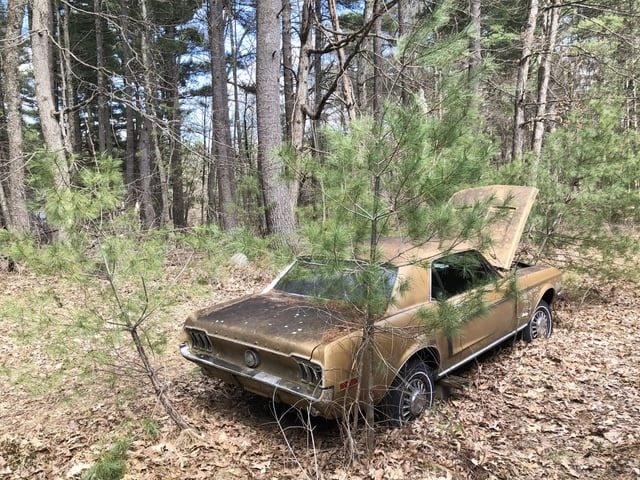 Man Finds Abandoned Mustang in the Forest. Then He finds this inside