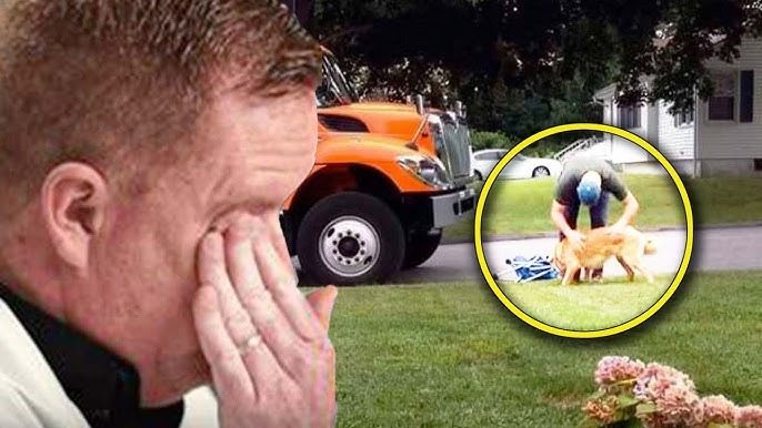 A Garbage Man, Unaware Of Being Filmed, Does Something To A Dog. Then, Incredible Things Happen