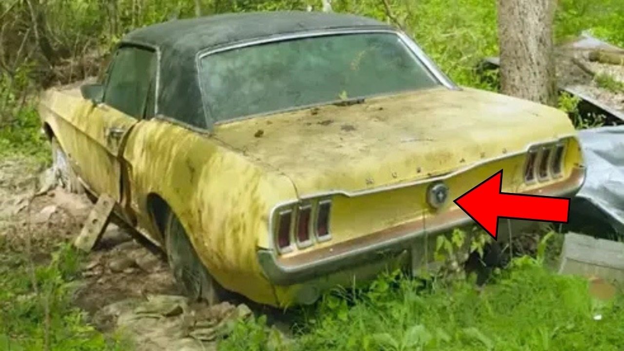 Man Finds Abandoned Mustang in the Forest. Then He finds this inside
