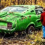 Man Finds Abandoned Mustang in the Forest. Then He finds this inside ➤ Buzzday.info