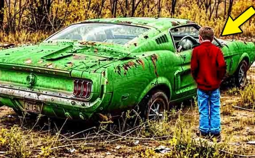Man Finds Abandoned Mustang in the Forest. Then He finds this inside ➤ Buzzday.info
