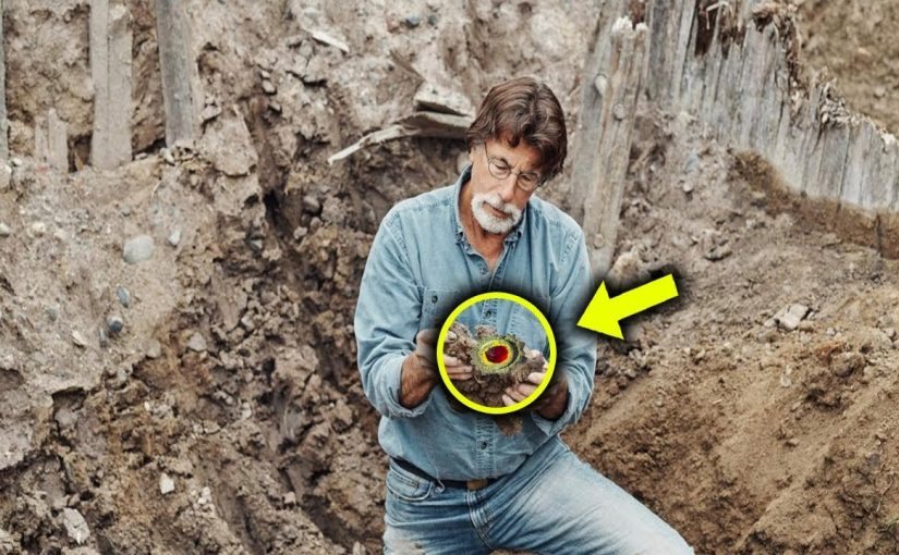 After 220 Years, Two Brothers Finally Found Oak Island Treasure ➤ Buzzday.info