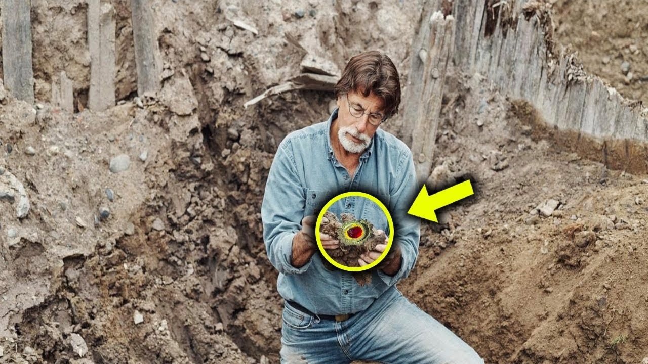 After 220 Years, Two Brothers Finally Found Oak Island Treasure ➤ Buzzday.info