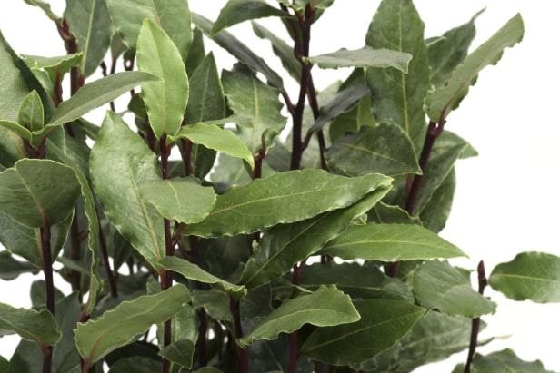 Drink a bay leaf infusion at night: you will notice the effect immediately