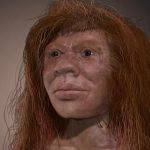 She Looks Human—But Her DNA Says Otherwise ➤ Buzzday.info