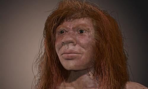 She Looks Human—But Her DNA Says Otherwise ➤ Buzzday.info