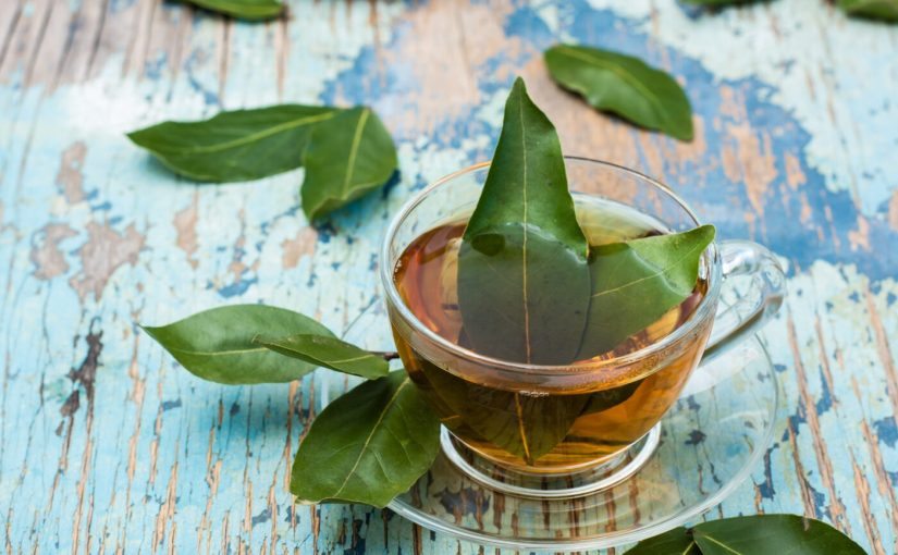 Drink a bay leaf infusion at night: you will notice the effect immediately ➤ Buzzday.info
