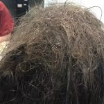 Hairdressers refuse to shave depressed teen’s matted hair ➤ Buzzday.info