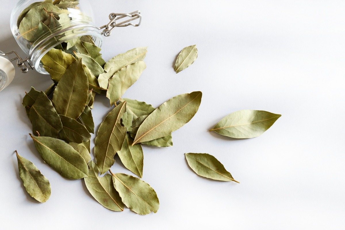 Drink a bay leaf infusion at night: you will notice the effect immediately