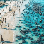 Beachgoers Spot Strange Objects Washed Ashore—They Turn Pale When They Realize What They Really Are ➤ Buzzday.info
