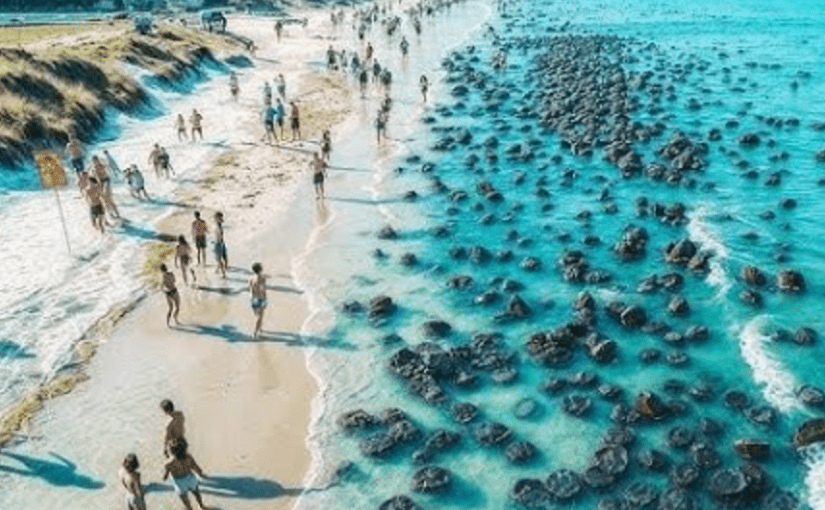 Beachgoers Spot Strange Objects Washed Ashore—They Turn Pale When They Realize What They Really Are ➤ Buzzday.info