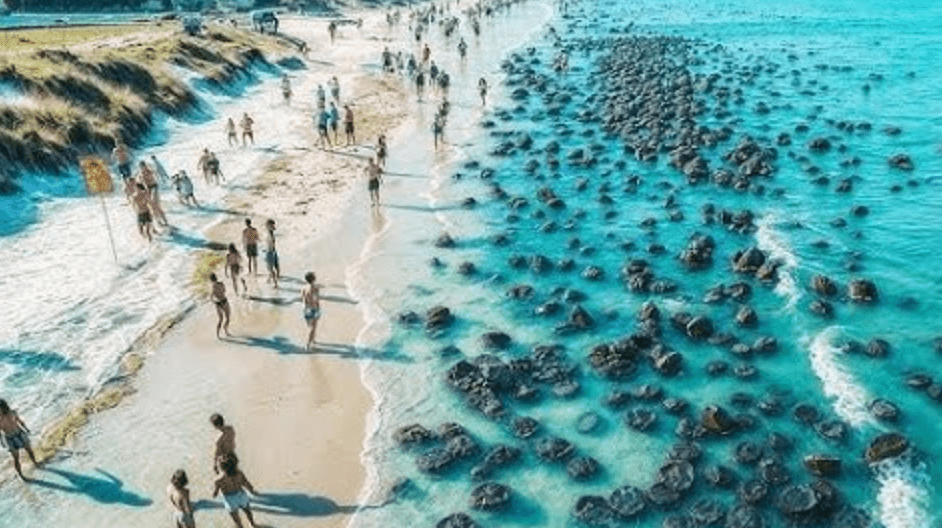 Plażowicze dostrzegają dziwne przedmioty wyrzucone na brzeg — bledną, gdy uświadamiają sobie, czym naprawdę są ➤ Buzzday.info