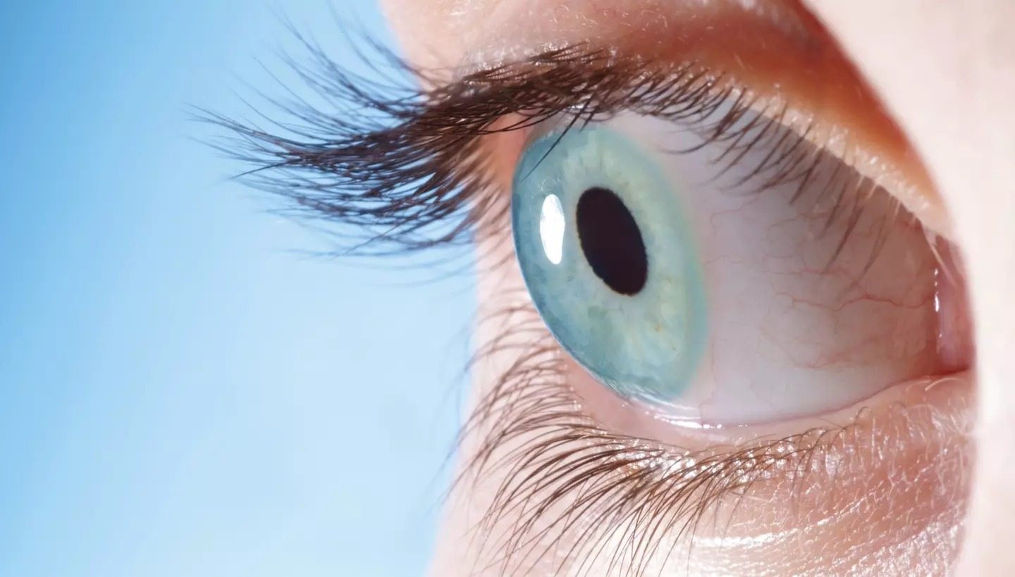 What Are Eye Floaters? Here is some advice on what to do if you start seeing an eye doctor