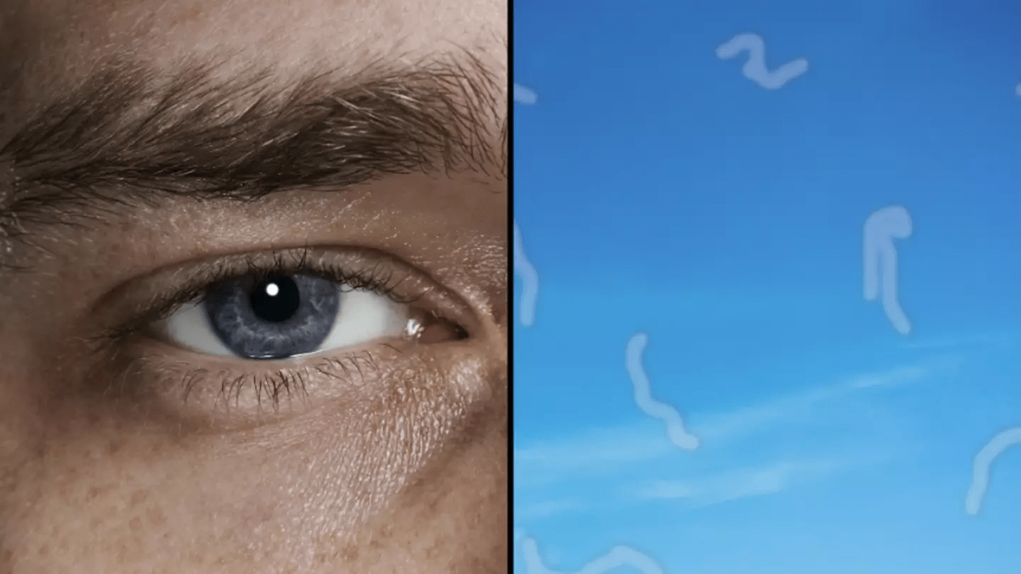 What Are Eye Floaters? Here is some advice on what to do if you start seeing an eye doctor ➤ Buzzday.info
