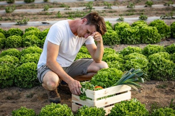 Millionaire’s Son Humiliates Their Gardener, Then Fires Him. He Wasn’t Ready For What Was Going To Happen Next ➤ Buzzday.info