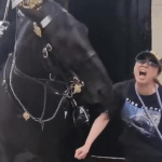 Video: La turista non ha ascoltato l’avvertimento ed è stata morsa da un cavallo della Guardia Reale di Londra ➤ Buzzday.info