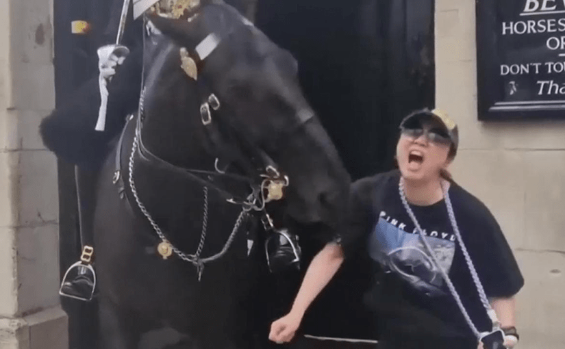 Video: La turista non ha ascoltato l’avvertimento ed è stata morsa da un cavallo della Guardia Reale di Londra ➤ Buzzday.info