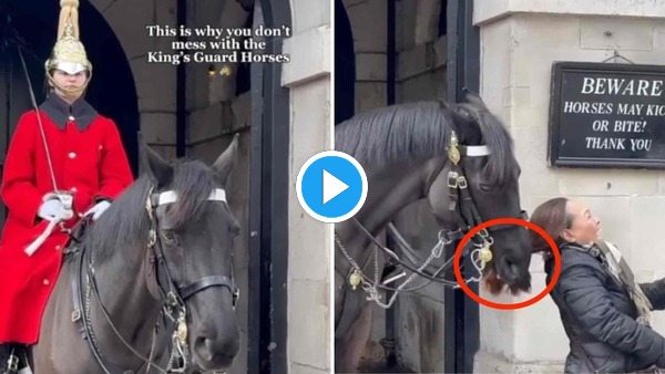 Video: The tourist didn’t listen to the warning and got bitten by a horse from the London Guard ➤ Buzzday.info