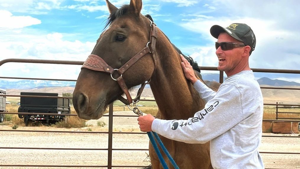 Un fermier retrouve un cheval disparu depuis huit mois. Découvrez ce qui est arrivé à ce cheval