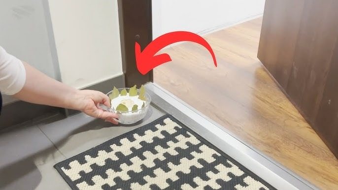 Spray Salt at The Entrance of Your Home, Here is Why