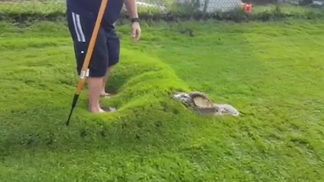 “Non provateci a casa, ragazzi”: un uomo che ha trovato una “bolla d’acqua” sotto l’erba dopo una forte pioggia ci è saltato sopra, poi l’ha COLPITA con un bastone