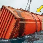 Pensavano fosse solo un container smarrito, finché non l’hanno aperto ➤ Buzzday.info