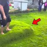 “Non provateci a casa, ragazzi”: un uomo che ha trovato una “bolla d’acqua” sotto l’erba dopo una forte pioggia ci è saltato sopra, poi l’ha COLPITA con un bastone ➤ Buzzday.info