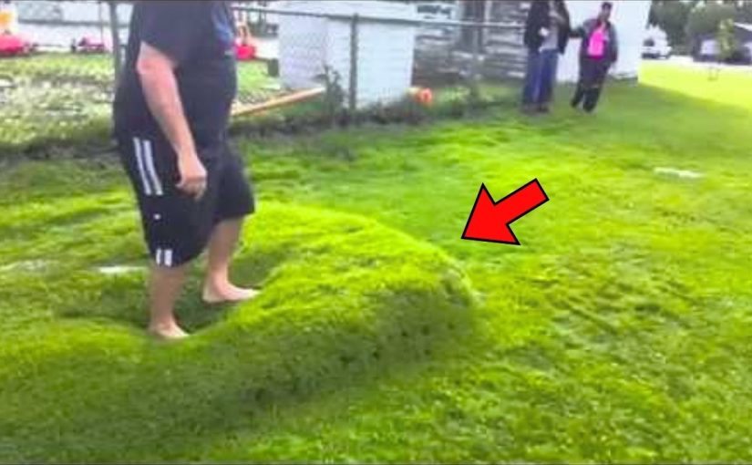 “Non provateci a casa, ragazzi”: un uomo che ha trovato una “bolla d’acqua” sotto l’erba dopo una forte pioggia ci è saltato sopra, poi l’ha COLPITA con un bastone ➤ Buzzday.info
