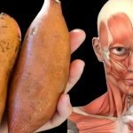A doctor explained what happens if you eat sweet potatoes every day ➤ Buzzday.info