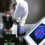 Tabagisme et cancer du pancréas : une nouvelle étude révèle un mécanisme dangereux ➤ Buzzday.info Tabagisme et cancer du pancréas : une nouvelle étude révèle un mécanisme dangereux ➤ Buzzday.info