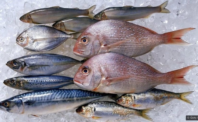 La science affirme que ces trois poissons sont les plus sains ➤ Buzzday.info