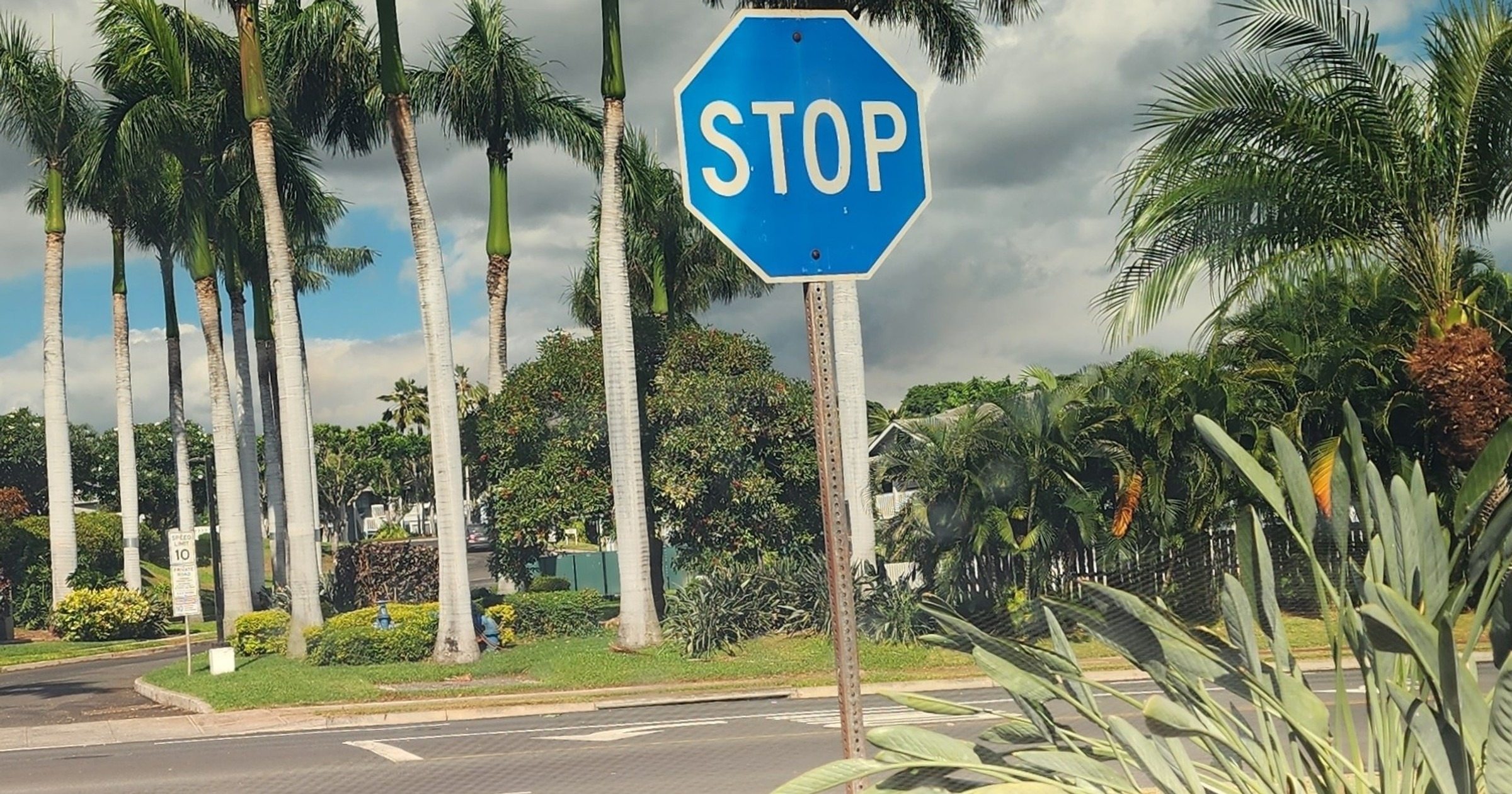 Niebieski znak STOP jest niesamowity. Większość ludzi nie wie, co on oznacza