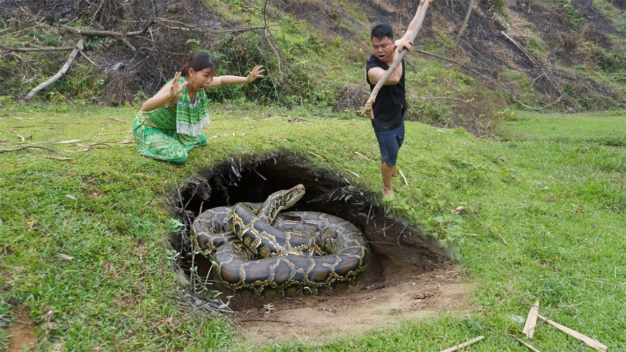 Shocking video: Brazilian fisherman has a dangerous encounter with an anaconda