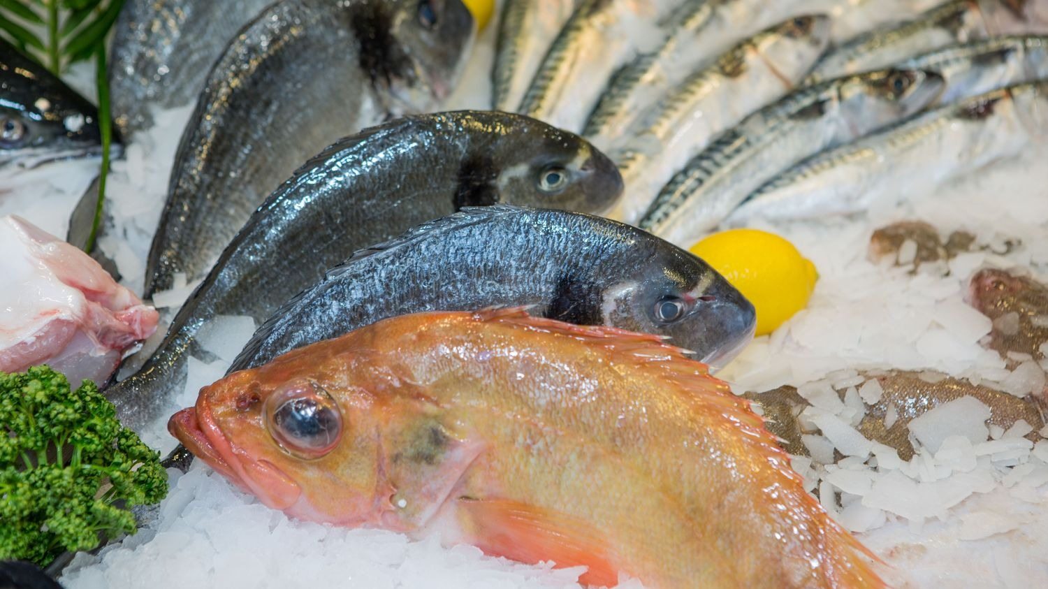 La science affirme que ces trois poissons sont les plus sains
