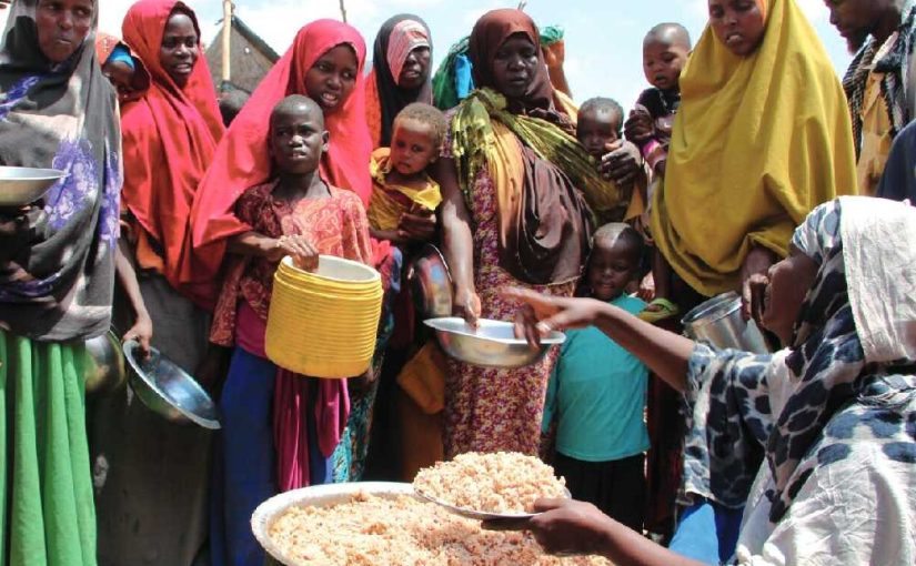 UN food agency projects northern Nigeria to experience hunger at unprecedented level in 2026 ➤ Buzzday.info