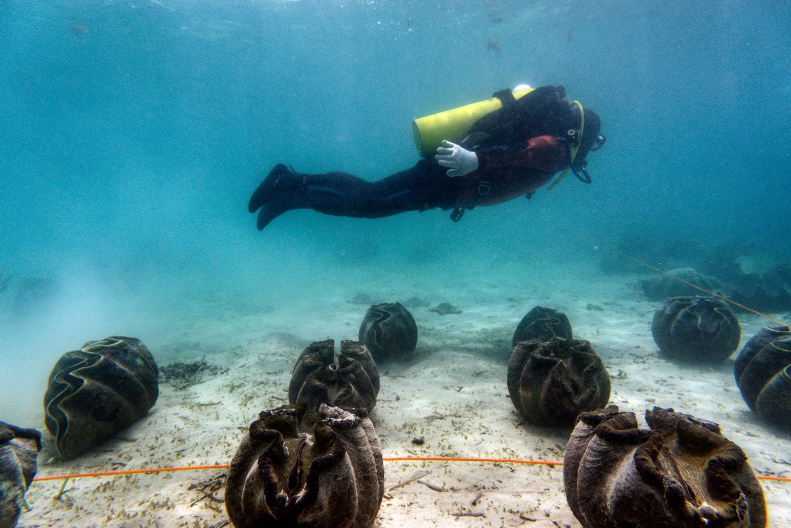 He lifted something resembling a giant shell onto the deck. But as soon as he peered inside, a cold fear pierced him