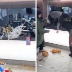 Video: Încăierare la McDonald’s: Angajații și clienții aruncă cu mâncare ➤ Buzzday.info