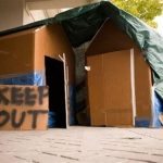 This young woman lives in a cardboard house – don’t judge her until you see inside ➤ Buzzday.info
