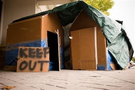 This young woman lives in a cardboard house – don’t judge her until you see inside ➤ Buzzday.info