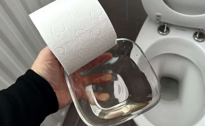 Place paper towels with vinegar in the toilet—you’ll be surprised by the results ➤ Buzzday.info