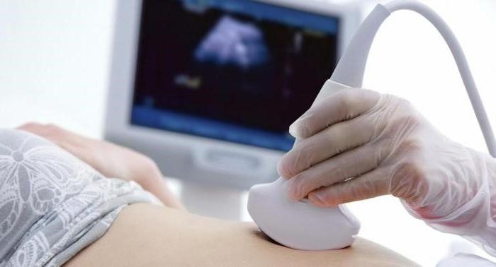 She thought her pregnancy was over. But three weeks later, the doctors discovered something unimaginable ➤ Buzzday.info