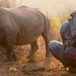 Un bărbat încearcă să scoată puiul de rinocer de pe șosea. Când se apropie, își dă seama că ceva nu este în regulă ➤ Buzzday.info