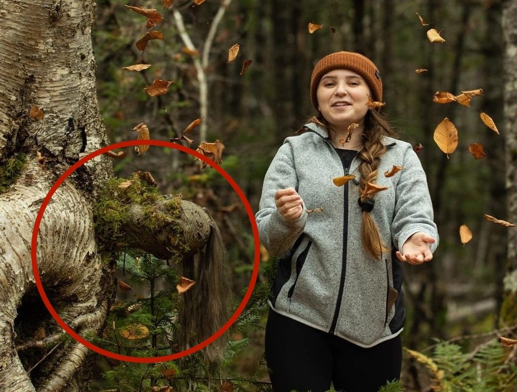 She Thought It Was Just a Strange Tree — Until the Forest Came Alive ➤ Buzzday.info