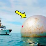 Les garde-côtes ont repéré un objet flottant et l’ont examiné de plus près ➤ Buzzday.info