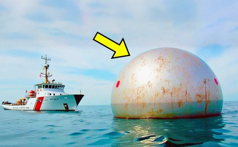 Les garde-côtes ont repéré un objet flottant et l’ont examiné de plus près ➤ Buzzday.info