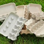 Hang an empty egg carton in your front yard… ➤ Buzzday.info