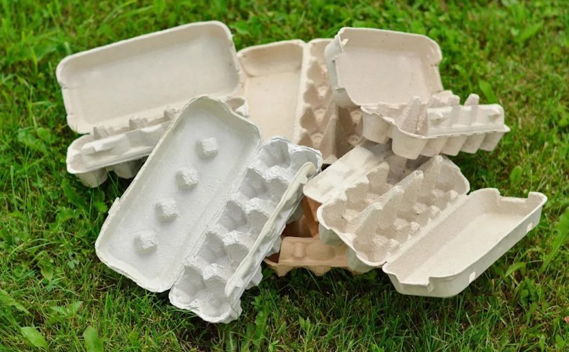 Zawieś pusty karton po jajkach w ogródku przed domem… ➤ Buzzday.info