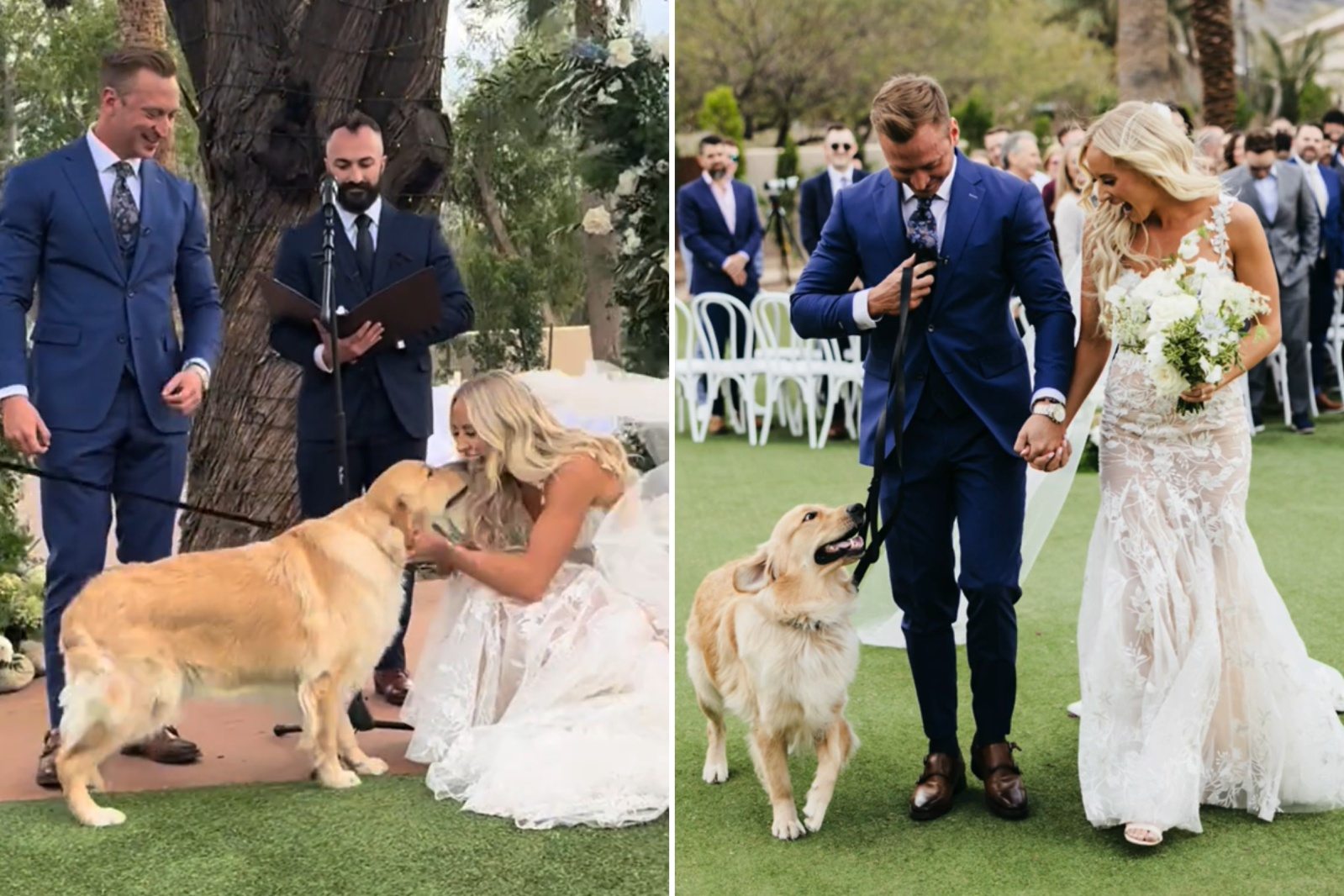 My Wedding Day Was Turned Upside Down by My Dog’s Urgent Warning