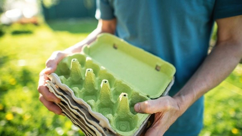 Hang an empty egg carton in your front yard…
