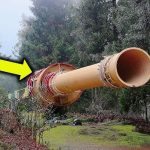 A tourist found a strange giant object in the forest – the truth shocked even experts ➤ Buzzday.info